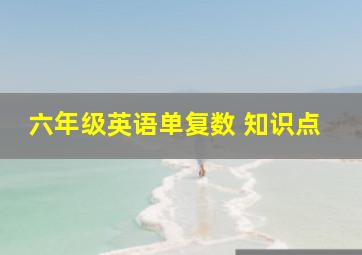 六年级英语单复数 知识点